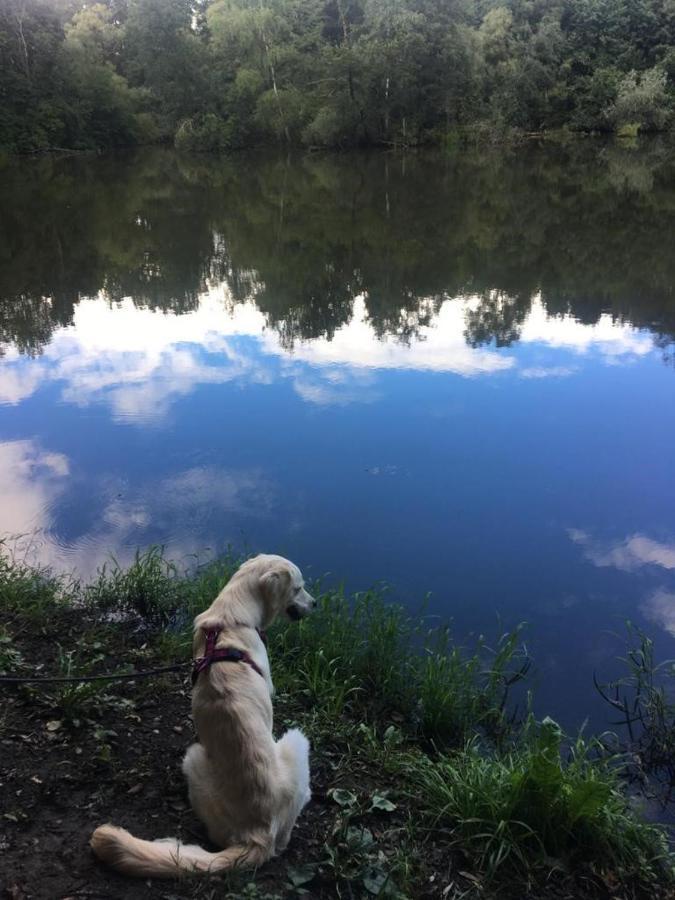 Millies Hosting - Familienurlaub Mit Hund In Kaernten Sankt Paul im Lavanttal Bagian luar foto
