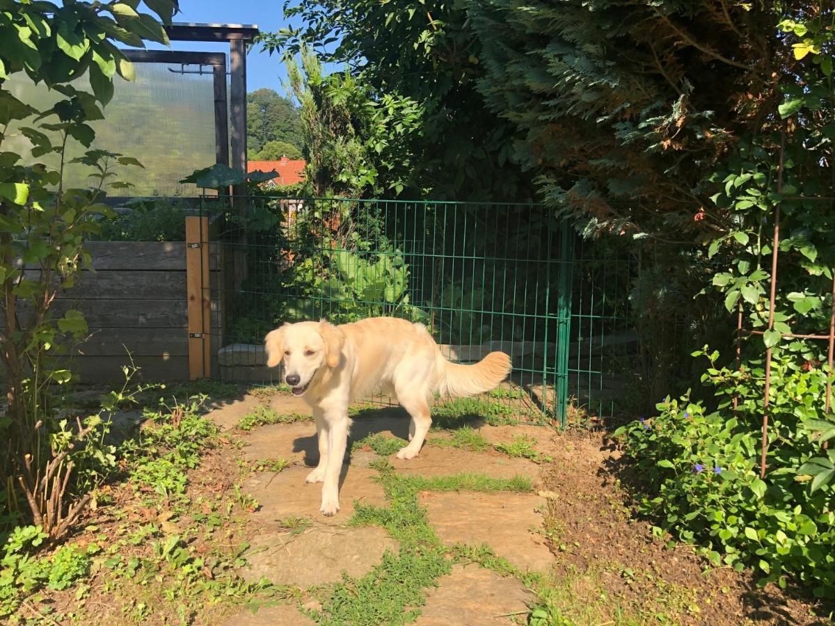 Millies Hosting - Familienurlaub Mit Hund In Kaernten Sankt Paul im Lavanttal Bagian luar foto