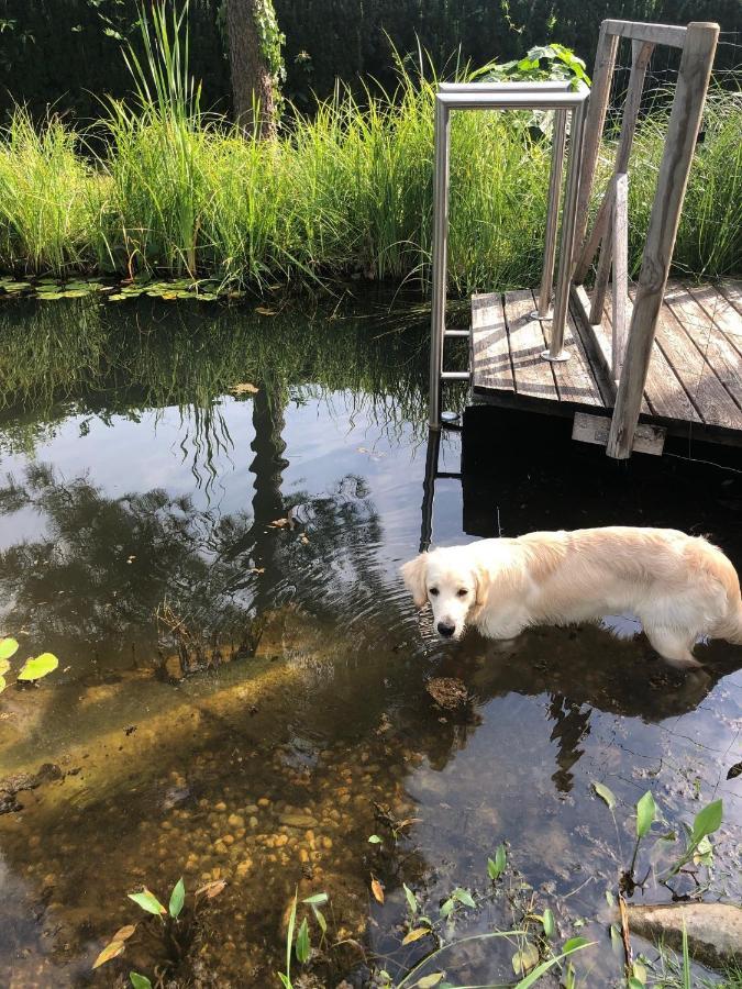 Millies Hosting - Familienurlaub Mit Hund In Kaernten Apartment Sankt Paul im Lavanttal Bagian luar foto