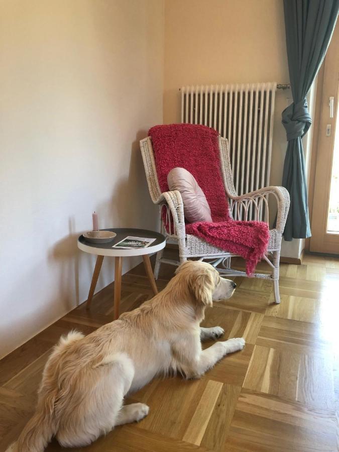 Millies Hosting - Familienurlaub Mit Hund In Kaernten Sankt Paul im Lavanttal Bagian luar foto