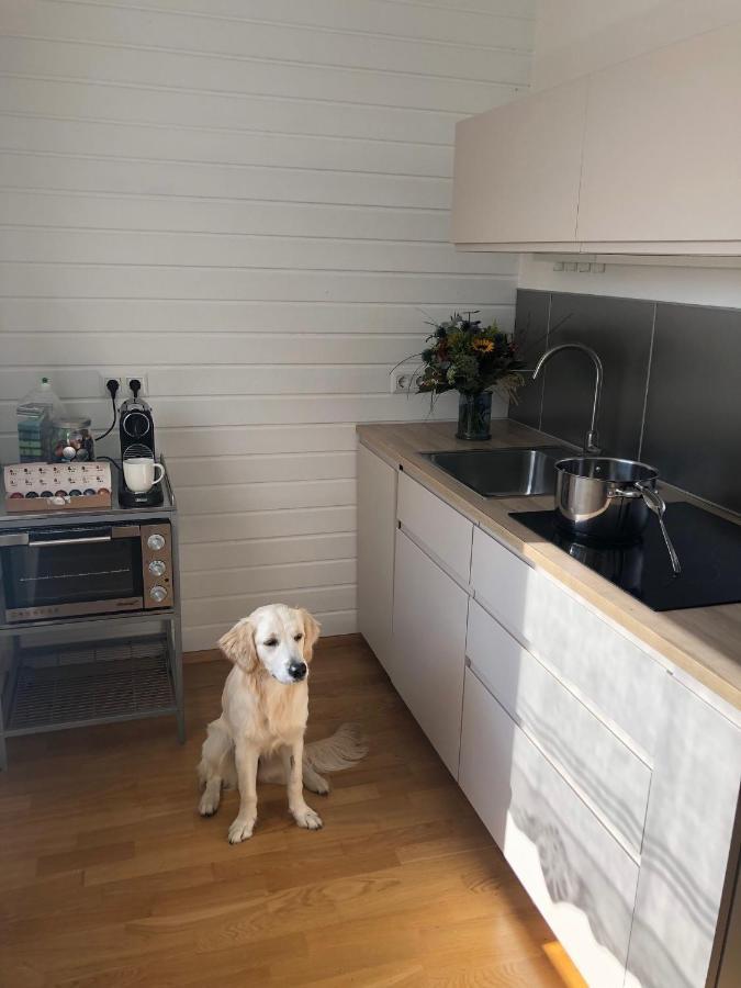 Millies Hosting - Familienurlaub Mit Hund In Kaernten Apartment Sankt Paul im Lavanttal Bagian luar foto