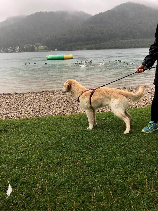 Millies Hosting - Familienurlaub Mit Hund In Kaernten Sankt Paul im Lavanttal Bagian luar foto