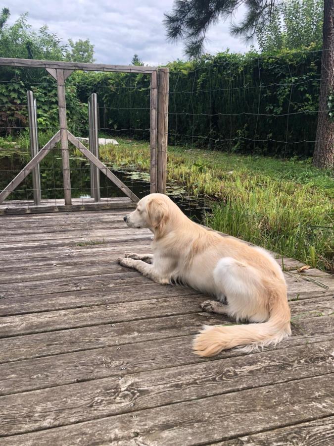 Millies Hosting - Familienurlaub Mit Hund In Kaernten Sankt Paul im Lavanttal Bagian luar foto