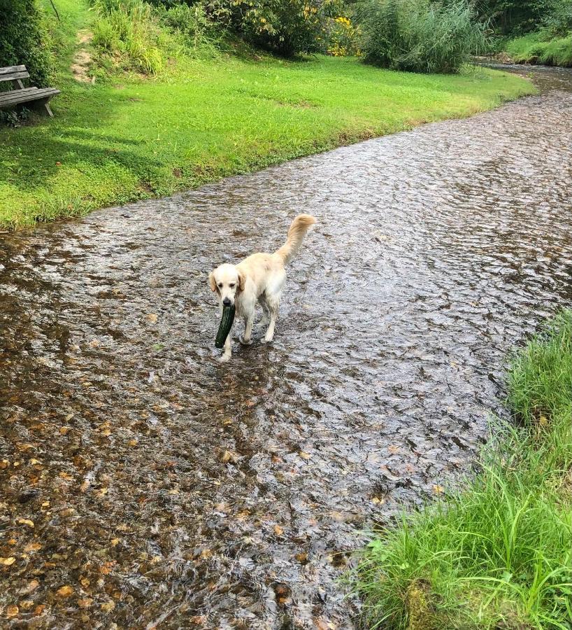 Millies Hosting - Familienurlaub Mit Hund In Kaernten Apartment Sankt Paul im Lavanttal Bagian luar foto